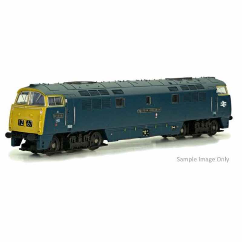Dapol N Gauge Class 52 D1041 Western Prince BR Blue FYE